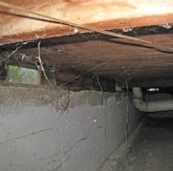 Water Extraction Services in Virginia Beach, VA