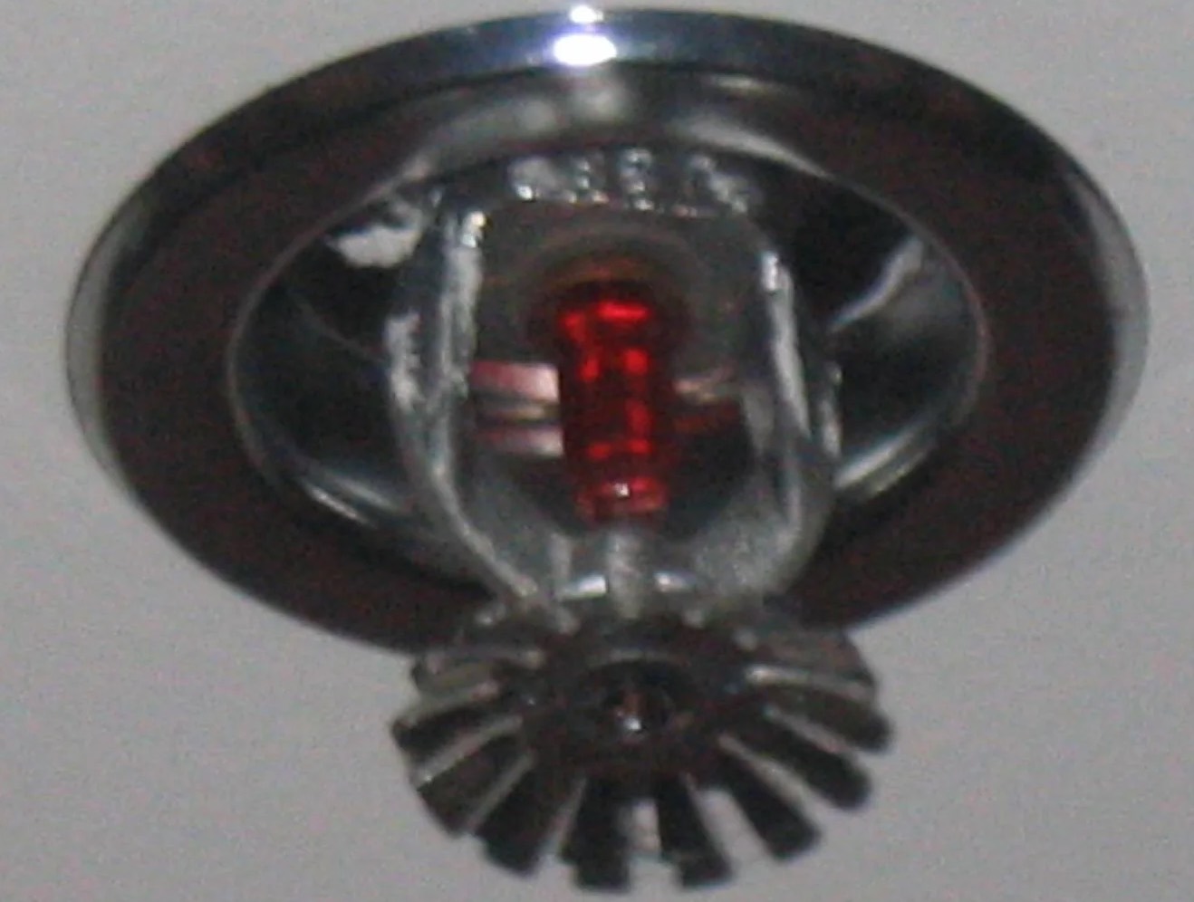 Sprinkler System Water Removal in Norfolk, VA