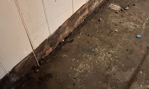 Wastewater Cleanup in Virginia Beach, VA